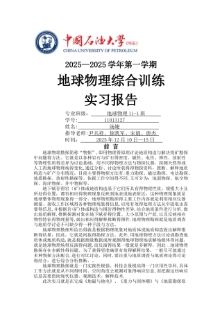 中国石油大学地球物理综合训练实习报告