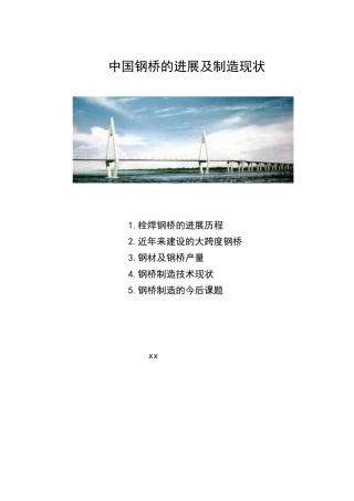中国钢桥的发展及制造现状y