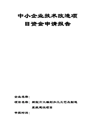中小企业技术改造项目资金申请报告