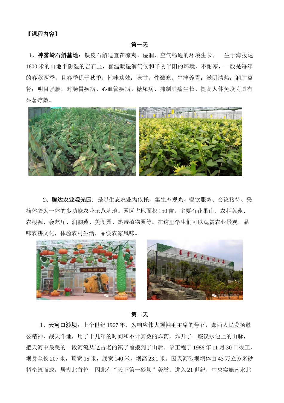 中小学研学旅行_第2页