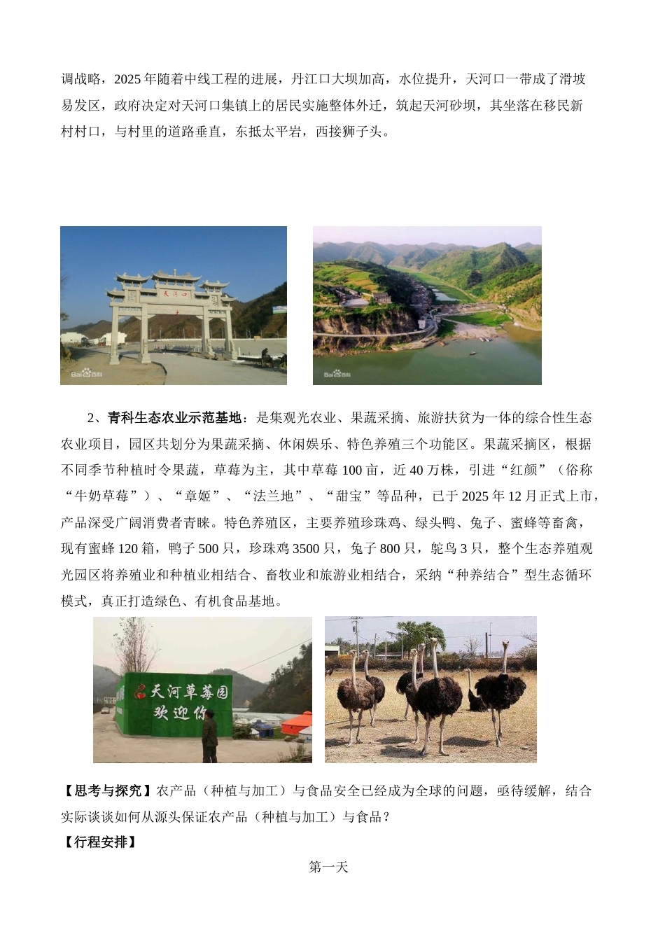 中小学研学旅行_第3页