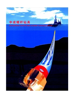 中成螺杆说明书