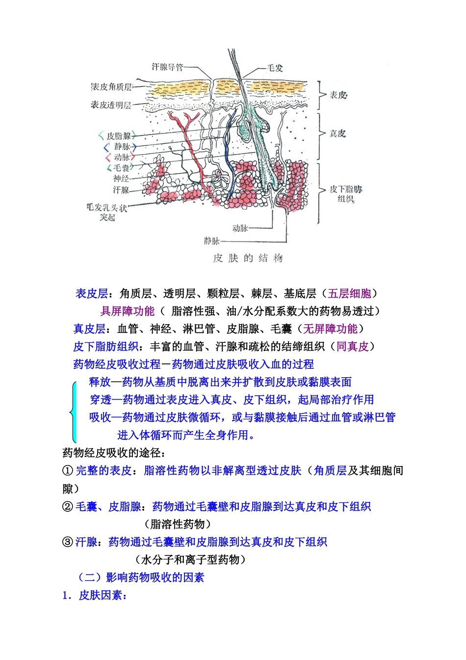 中药药剂学课件北京中医药大学-13外用膏剂_第2页