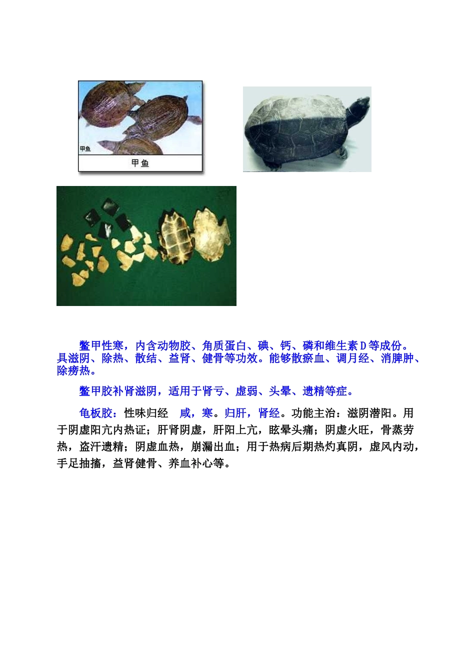 中药药剂学课件北京中医药大学-15胶--剂_第2页