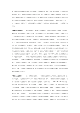 主题活动”我的好伙伴--兔子”