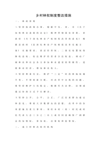 乡村林权制度整改措施精品策划方案