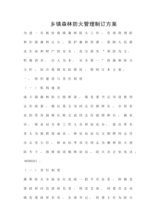 乡镇森林防火管理制订方案精品策划方案