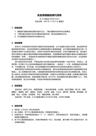 乳鼠肾细胞的原代培养