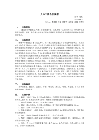 人体染色体观察
