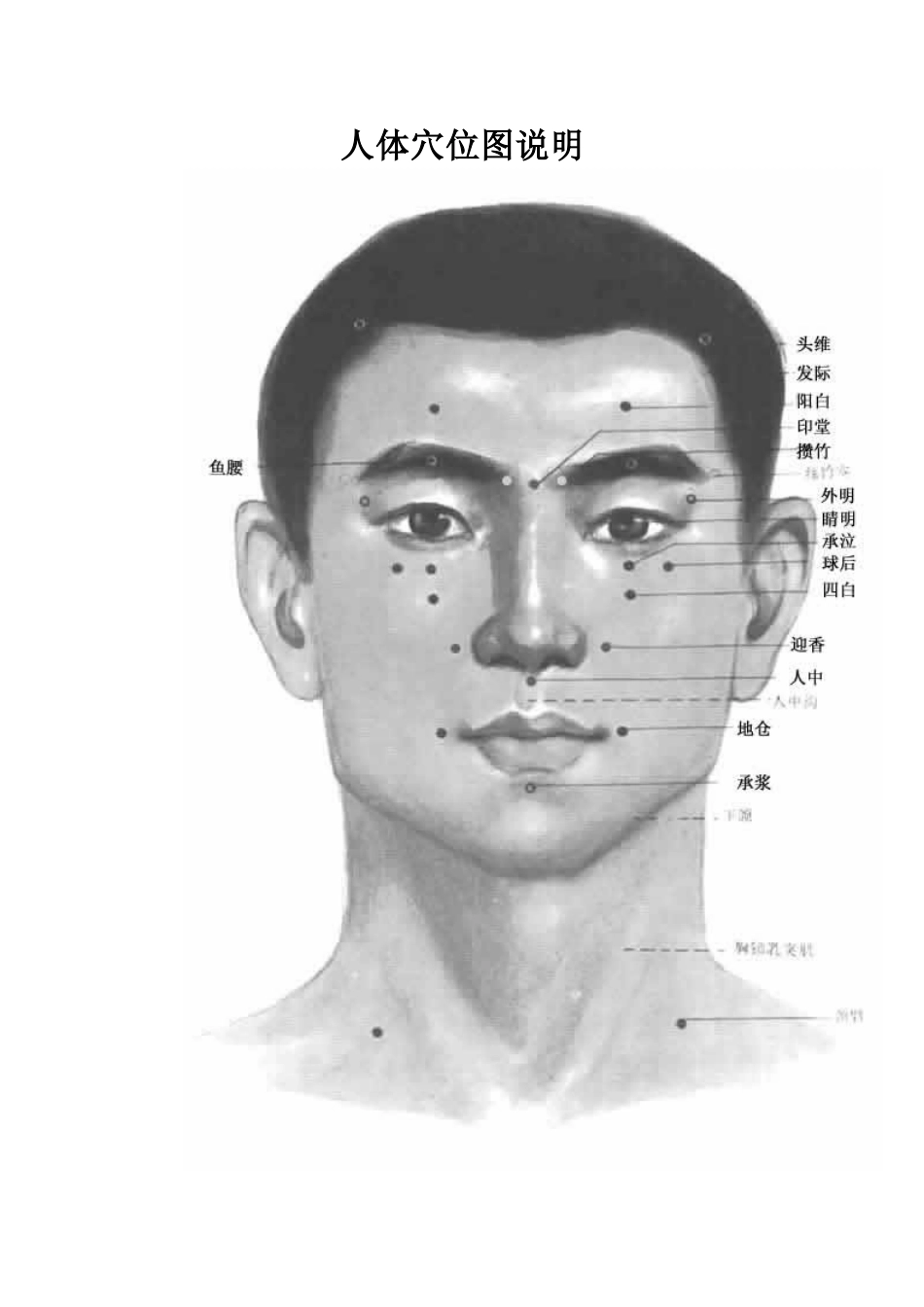 人体穴位图说明_第1页