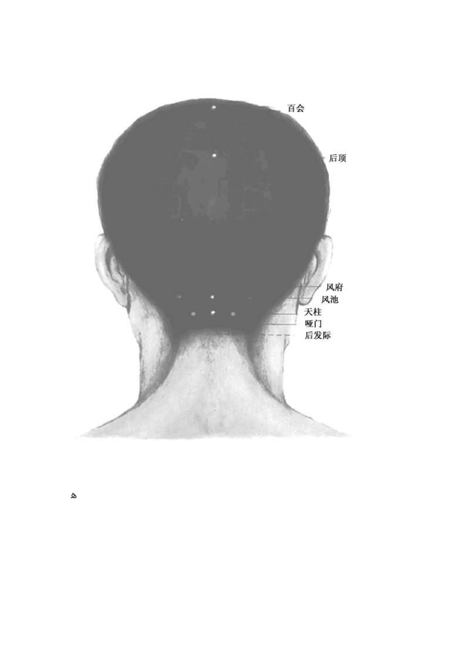 人体穴位图说明_第2页