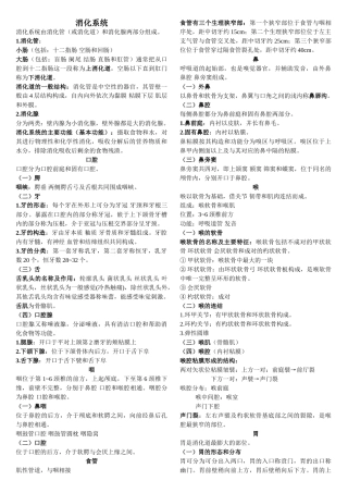 人体解剖学重点笔记