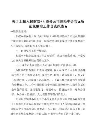人保财险分公司保险中介市场乱象整治自查报告