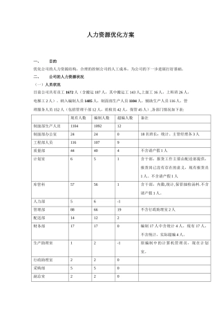人力资源优化方案