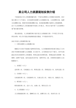 人力资源规划—实例