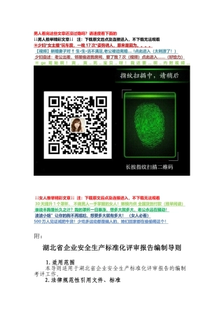 企业安全标准化评审报告编制导则