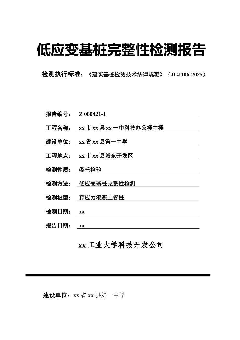 低应变基桩完整性检测报告_第1页