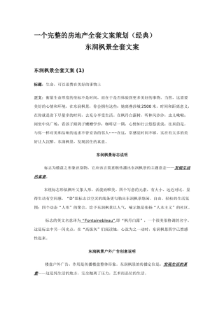 住宅楼项目营销策划文案