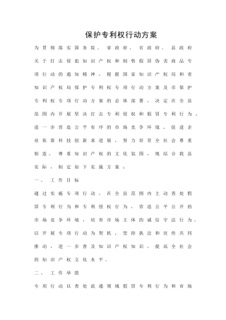保护专利权行动方案精品策划方案