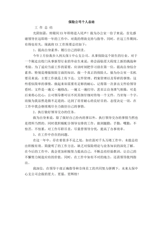 保险公司个人总结