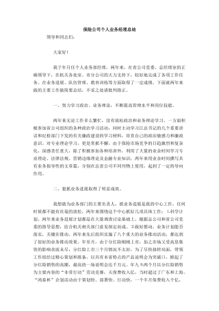 保险公司个人业务经理总结