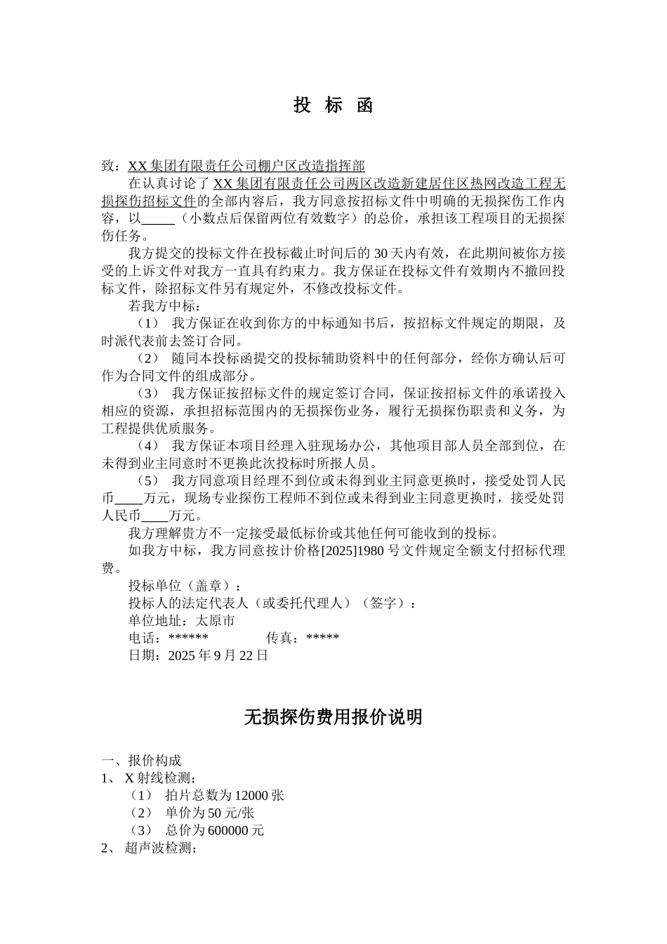 全套供热管网无损探伤投标文件_第1页