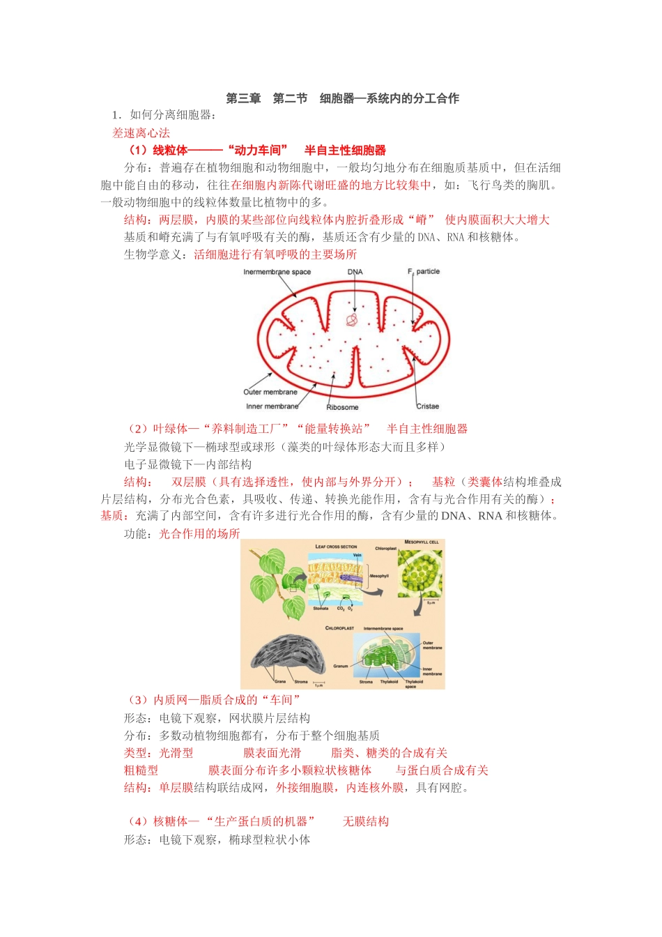 八大细胞器归纳总结_第1页