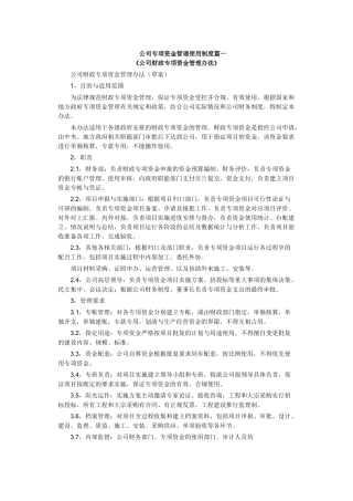 公司专项资金管理使用制度篇一