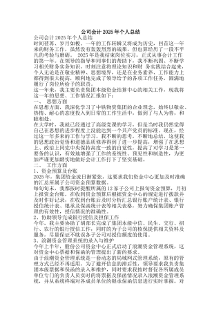 公司会计2010年个人总结