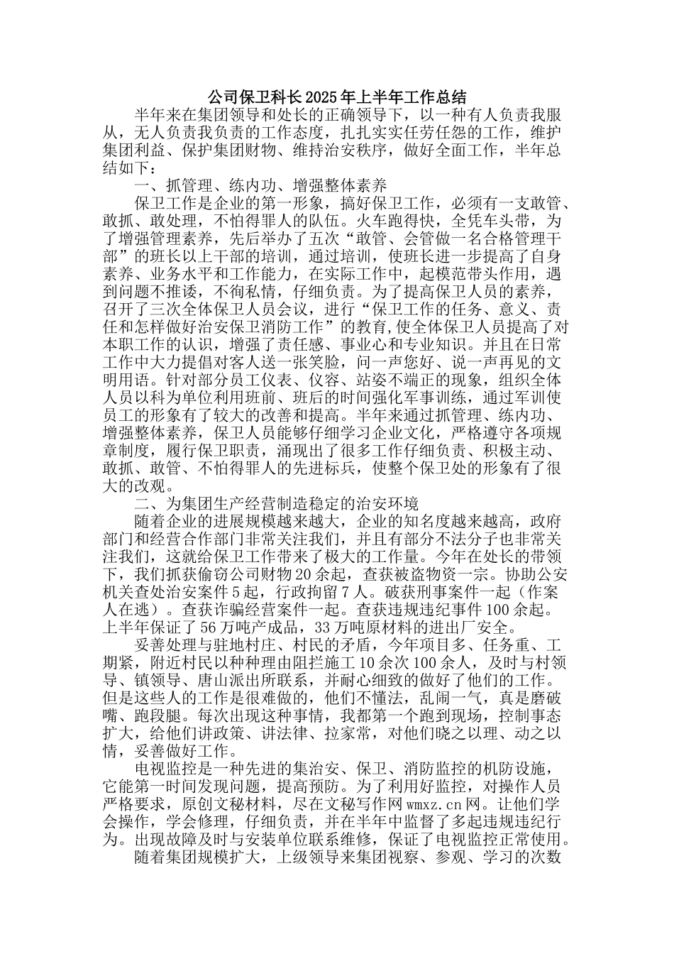 公司保卫科长2025年上半年工作总结_第1页