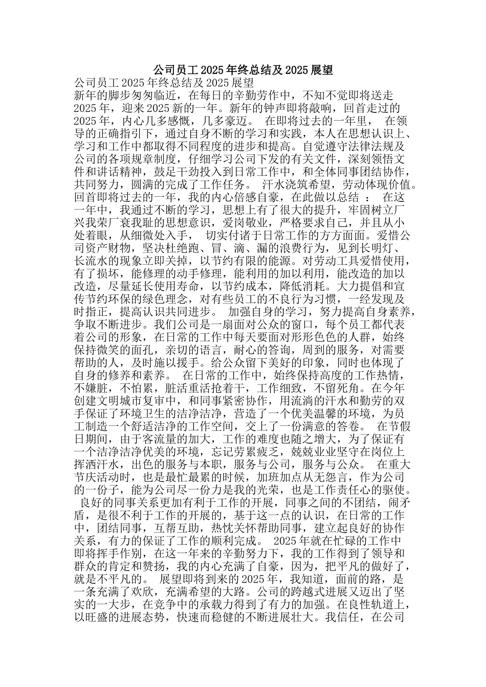 公司员工2025年终总结及2025展望_第1页