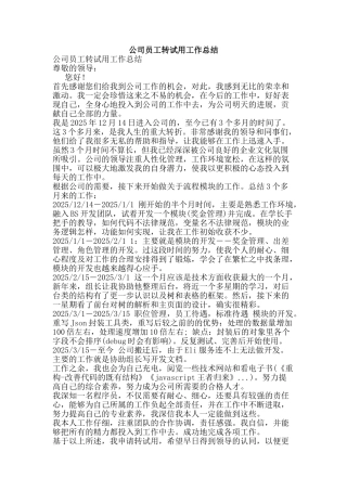 公司员工转试用工作总结