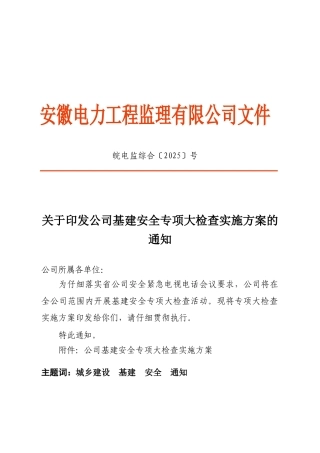 公司基建安全大检查活动实施方案