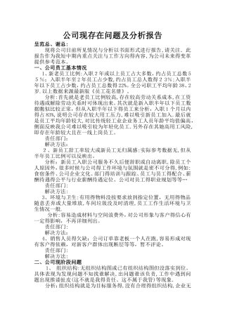 公司现存在问题及分析报告