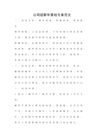 公司迎新年策划方案范文精品策划方案