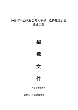 公路大中修、危桥隧道加固改造工程招标文件