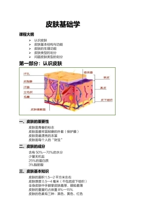 关于皮肤基础知识的详解