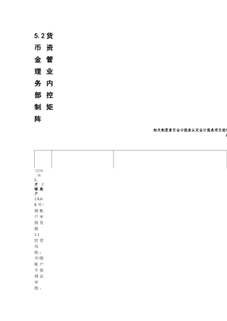 内部控制手册第3部分-内控矩阵——5-2货币资金管理业务控制矩阵