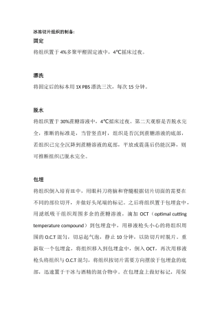 冰冻切片的制备