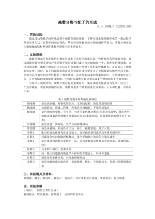 减数分裂与配子的形成