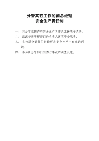 分管其它工作的副总经理安全责任制
