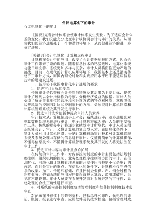 刍议电算化下的审计