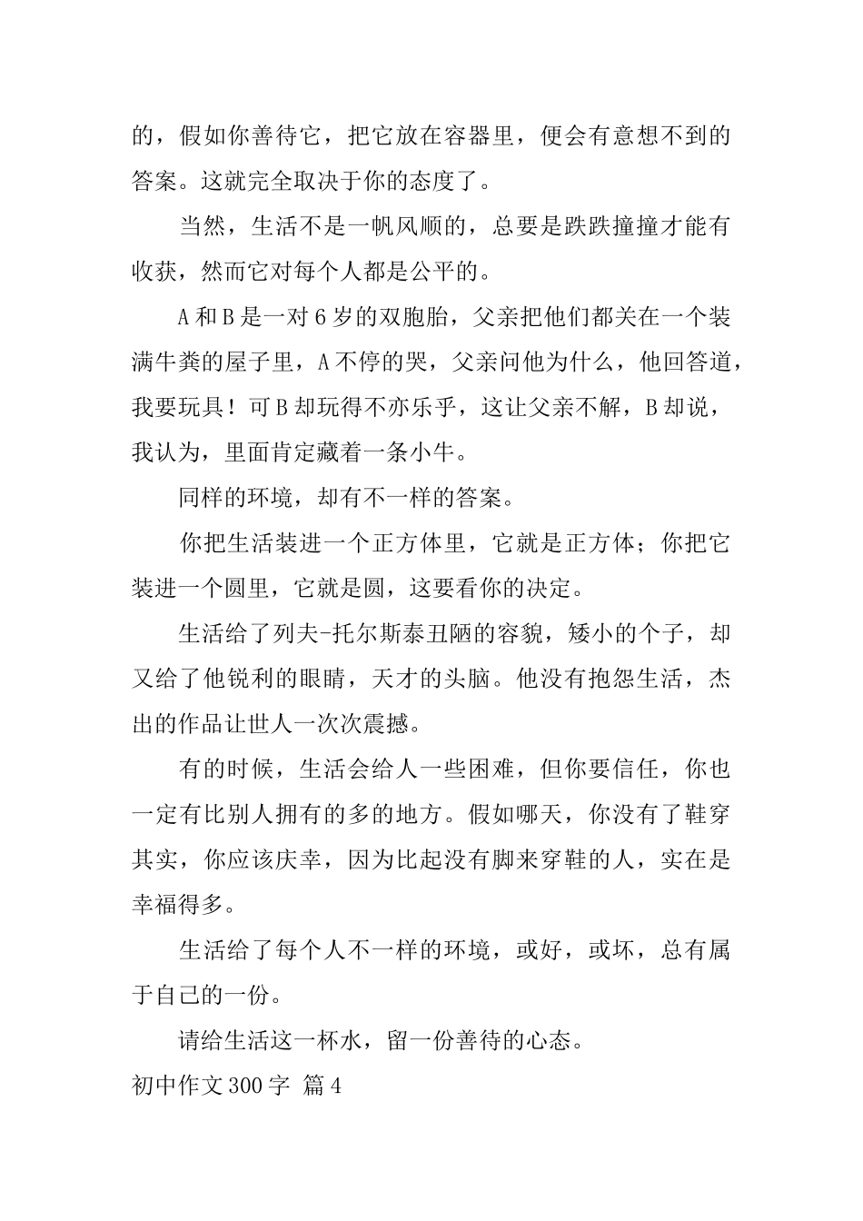 初中作文300字九篇_第3页