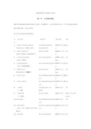 别墅项目融资计划书