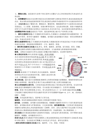 动物繁殖学知识点整理