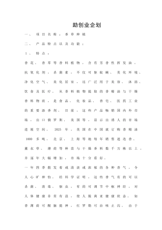 助创业企划精品策划方案