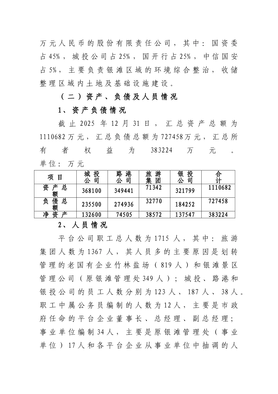 北海市投融资平台公司运营实施方案_第2页