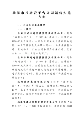 北海市投融资平台公司运营实施方案
