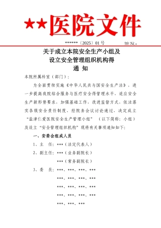 医院安全管理小组