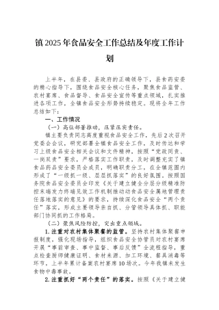 镇2025年食品安全工作总结及年度工作计划 (1)